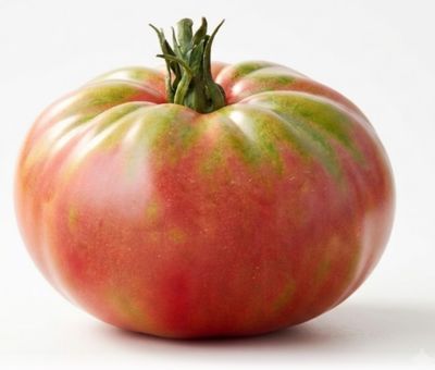 POMODORO BELMONTE POMODORO BELMONTE
