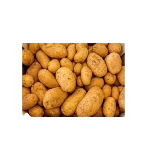 Patate novelle - 1 quintale