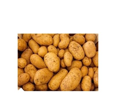Patate novelle - 1 quintale