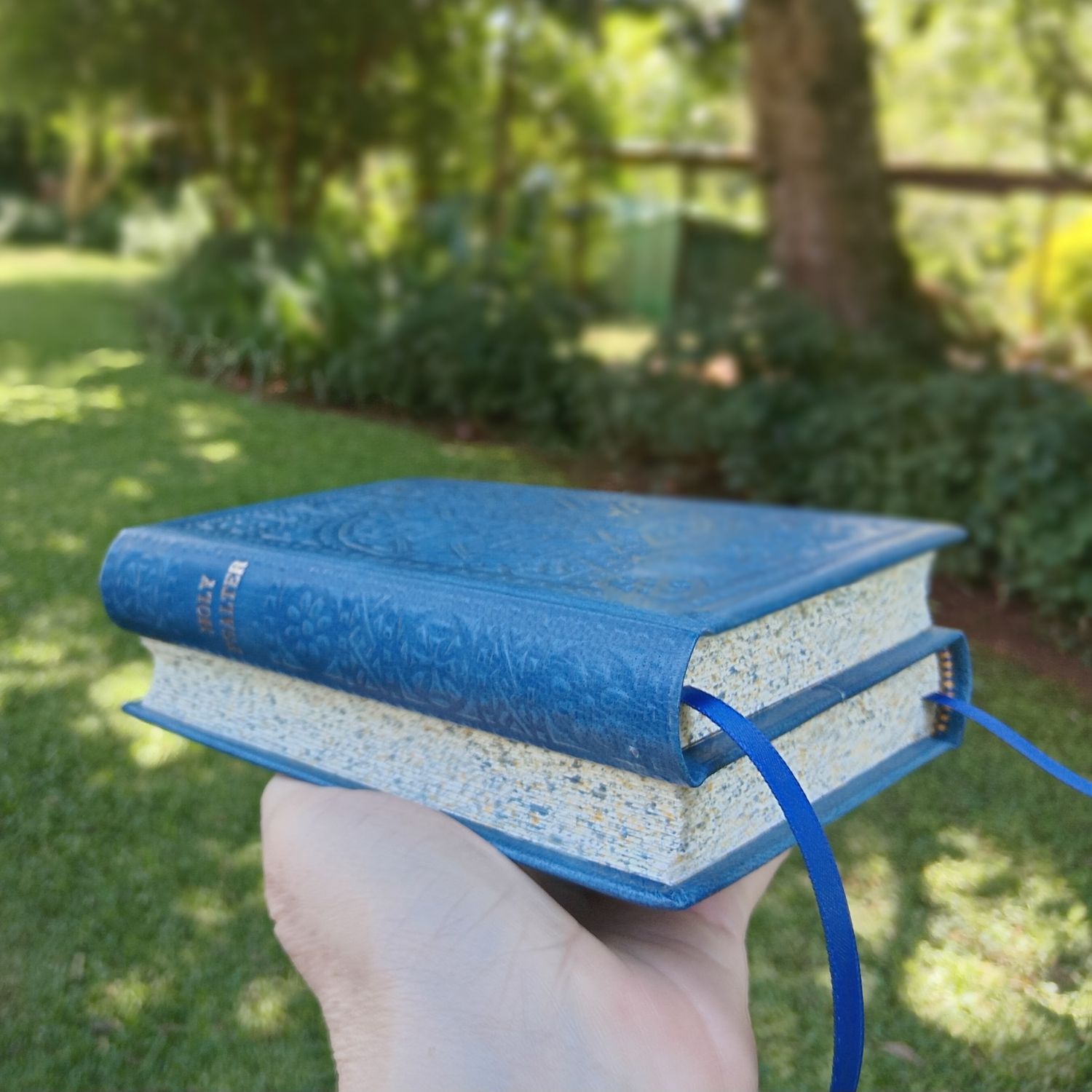 Dos-à-dos Psalter and Gospels in Blue Goatskin, Fr Lazarus Moore's translation