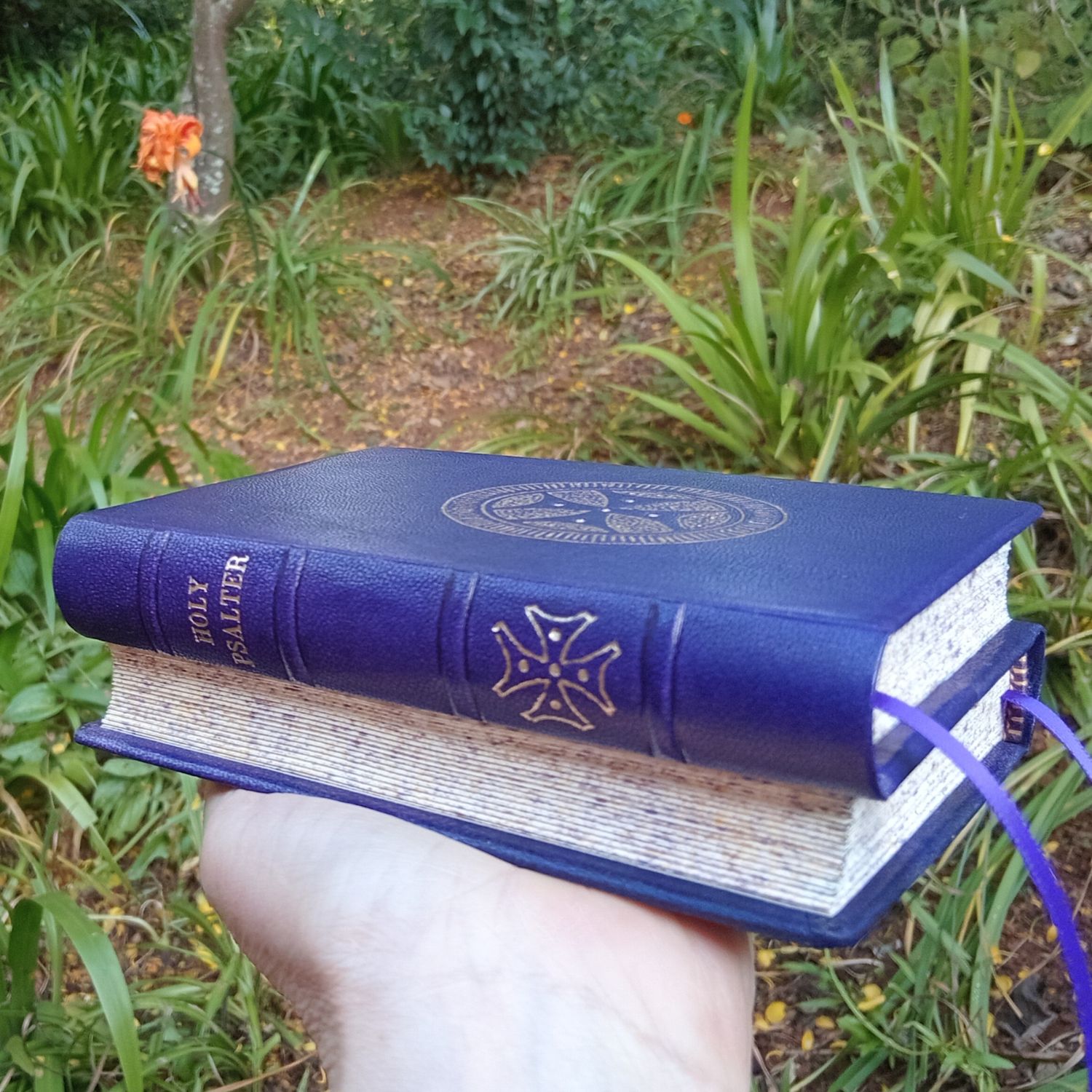 Dos-à-dos Psalter and Gospels in Purple Goatskin, Fr Lazarus Moore's translation