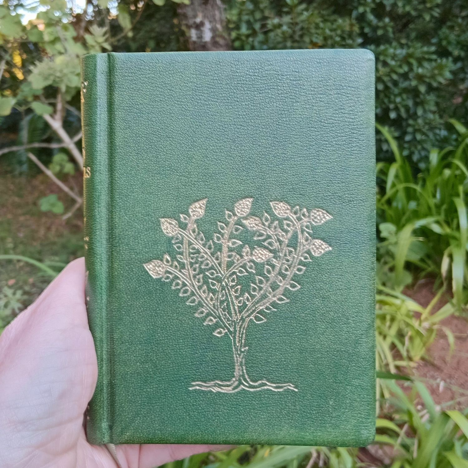Leatherbound Book of Gospels, Green Goatskin, Fr Lazarus Moore translation