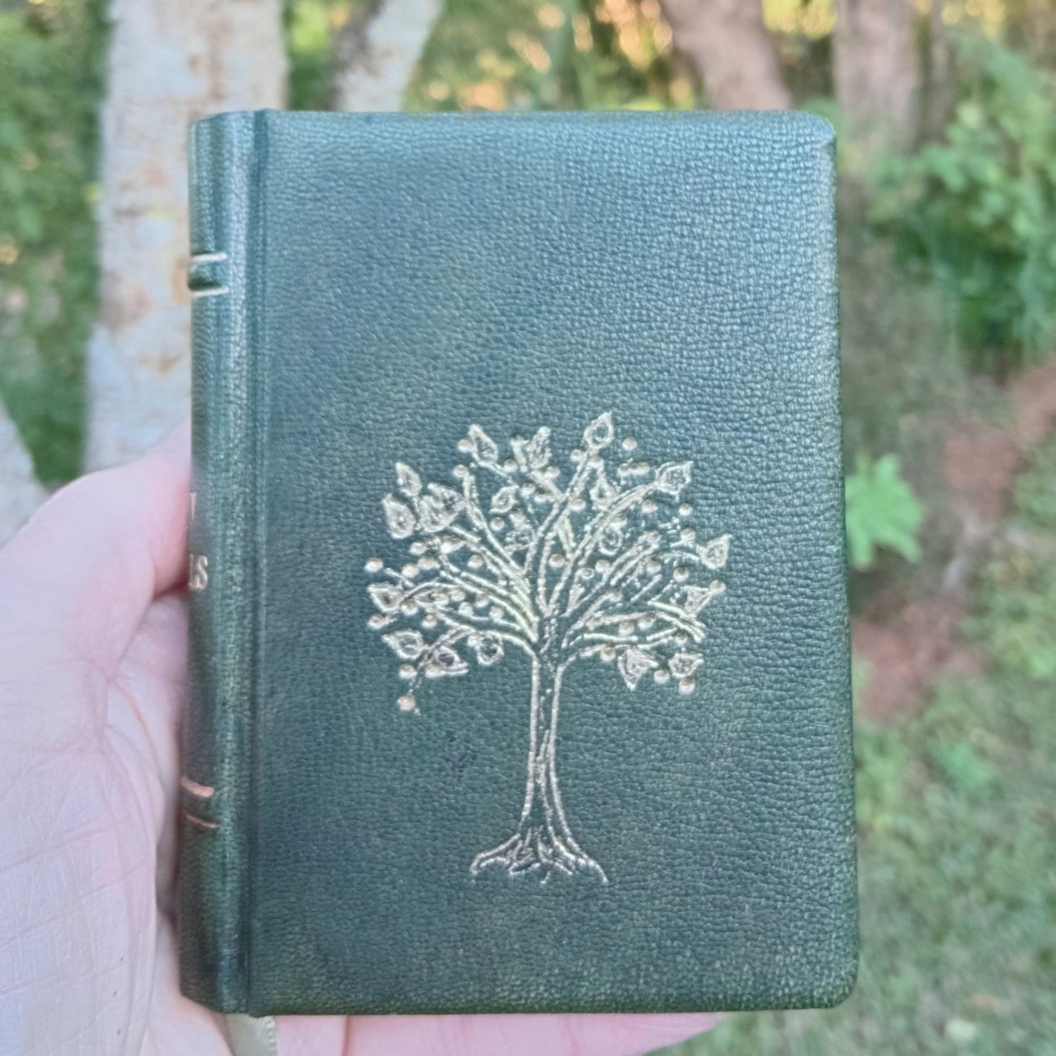 A7-sized Book of the Gospels translated by Fr Lazarus Moore, Green Goatskin, with slip case