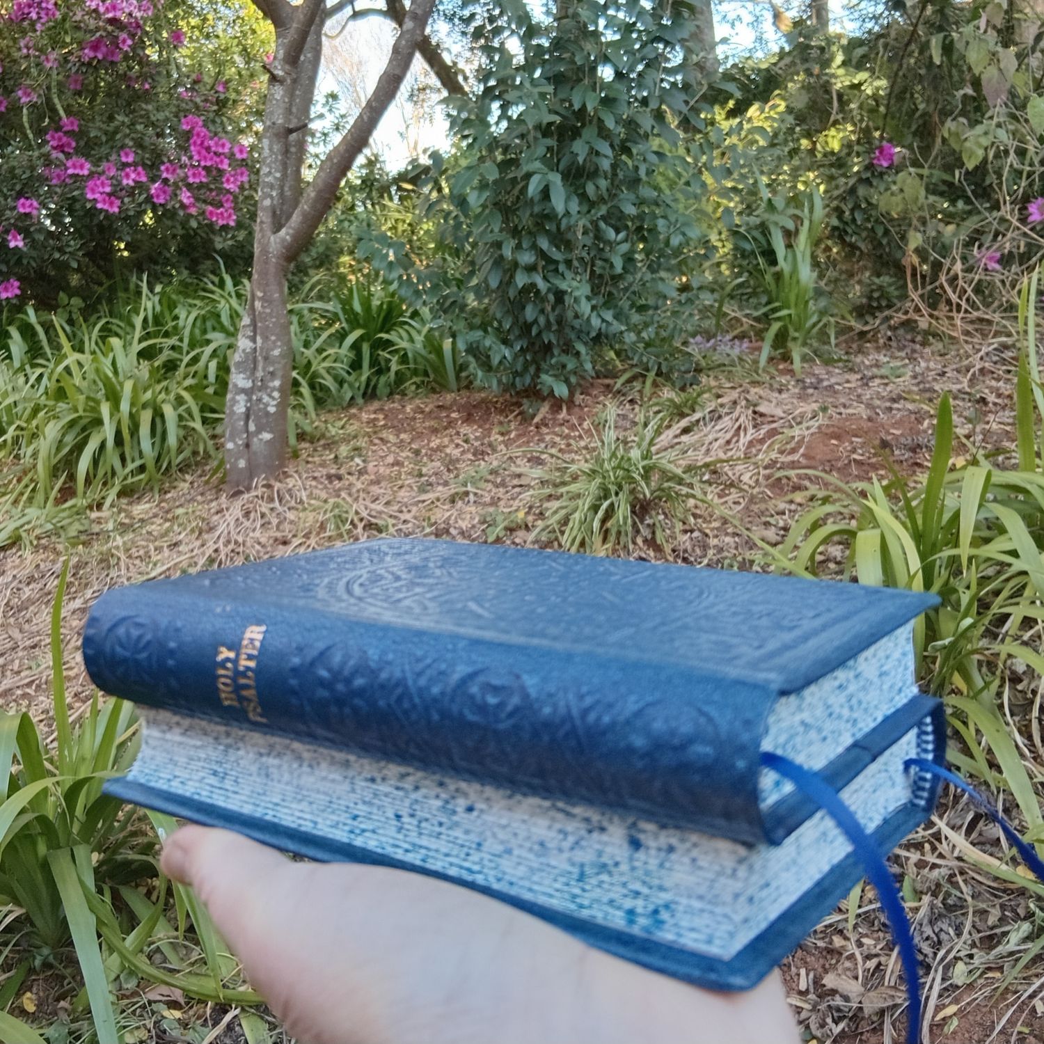 Dos-à-dos Psalter and Gospels in Blue Goatskin, Fr Lazarus Moore's translation