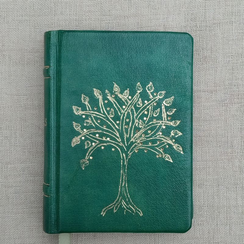 A7-sized Book of the Gospels translated by Fr Lazarus Moore, Green Goatskin, with slip case