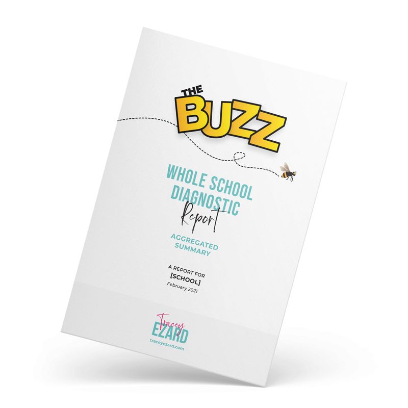 Buzz Diagnostic Cultural Report