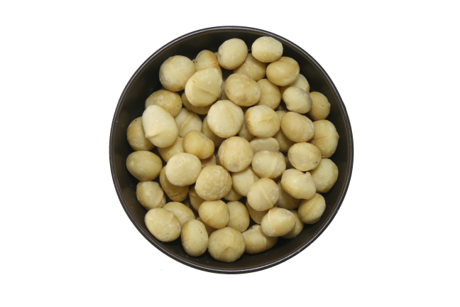 Macadamia Nuts Salted Macadamia Nuts Salted