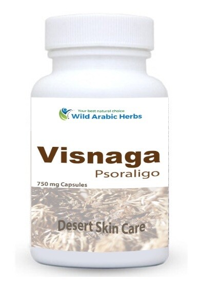 Visnaga Psoraligo Visnaga Psoraligo