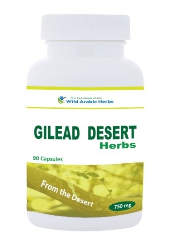 Gilead Desert Herbs Gilead Desert Herbs