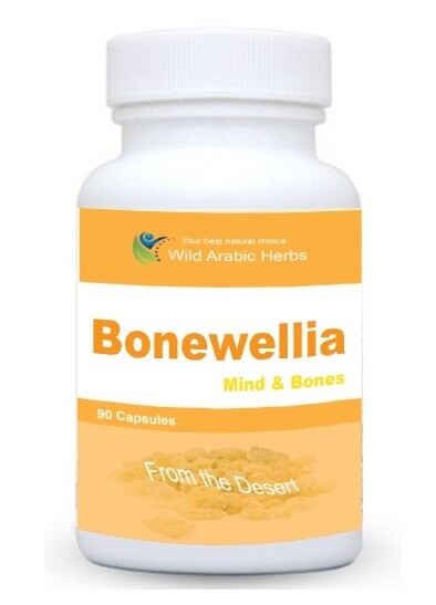 Bonewellia - Mind & Bones Bonewellia - Mind & Bones