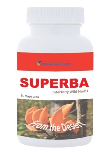 Superba Superba