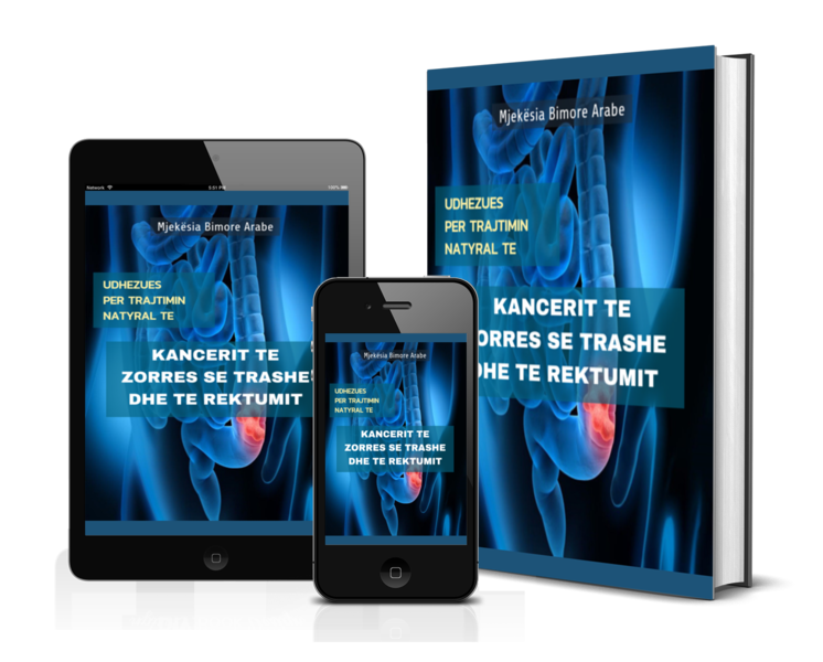 Kanceri Zorrës Trashë dhe Rektumit (eBook) Kanceri Zorrës Trashë dhe Rektumit (eBook)