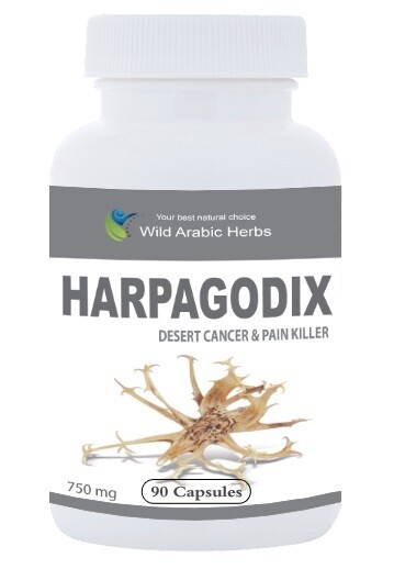 Harpagodix - Harpagophytum Harpagodix - Harpagophytum