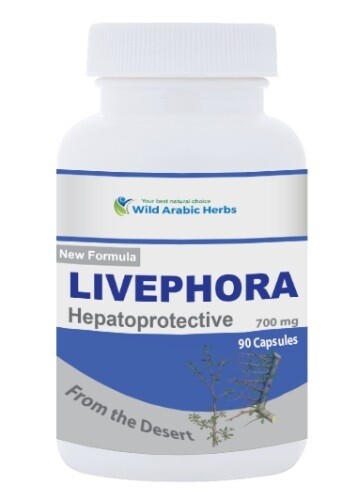 Livephora - Hepatoprotective Livephora - Hepatoprotective