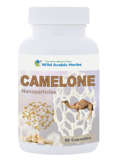 CAMELONE CAMELONE