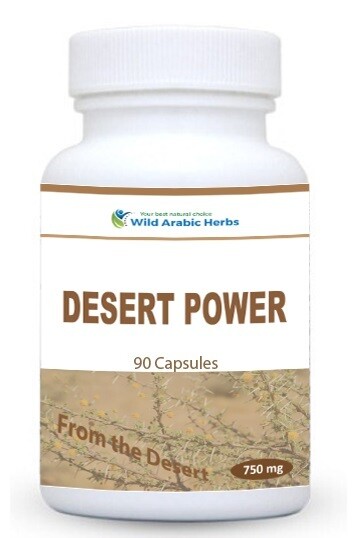 Desert Power Desert Power