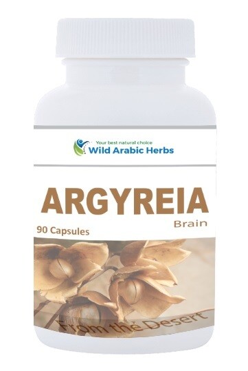 Argyreia - Brain Argyreia - Brain