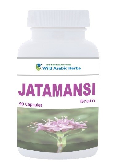 Jatamansi - Brain Jatamansi - Brain