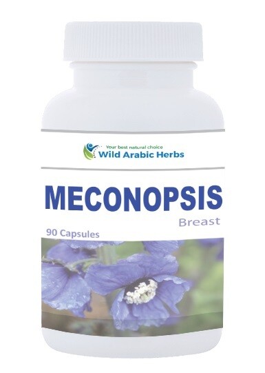 Meconopsis - Breast Meconopsis - Breast