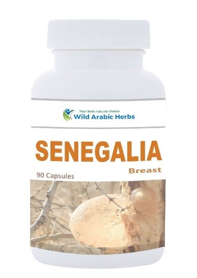 Senegalia - Breast Senegalia - Breast