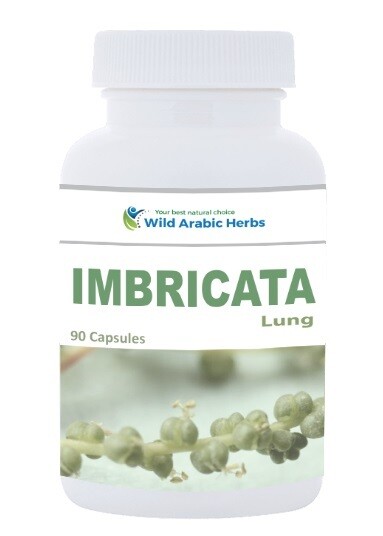Imbricata - Lung Imbricata - Lung