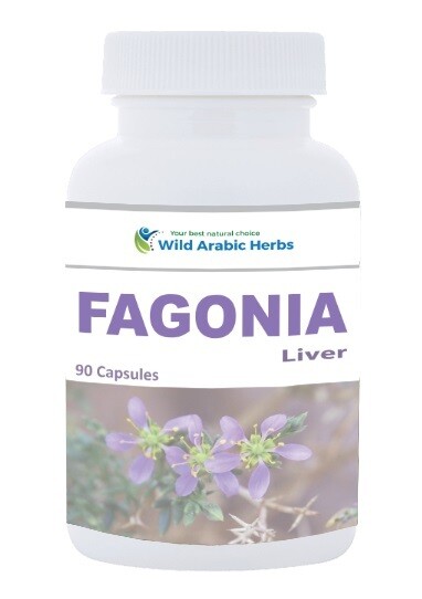 Fagonia - Liver Fagonia - Liver