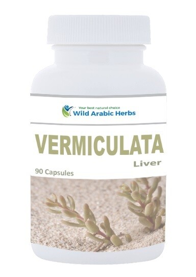 Vermiculata - Liver Vermiculata - Liver