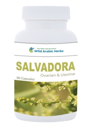 Salvadora – Ovarian & Uterine Salvadora – Ovarian & Uterine