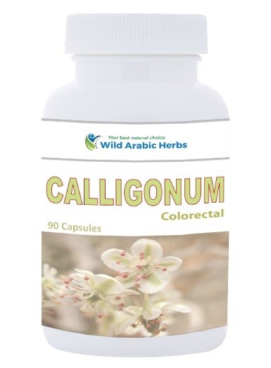 Calligonum – Colorectal Calligonum – Colorectal