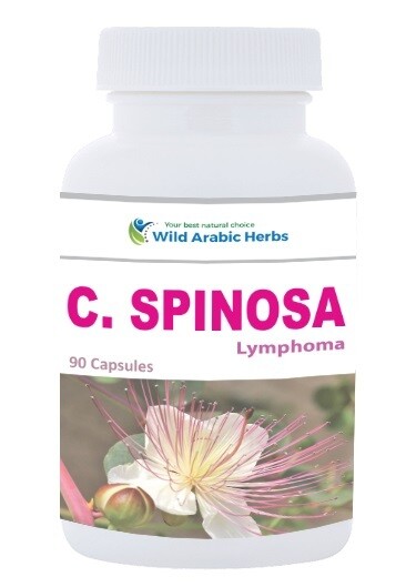 C. Spinosa - Lymphoma C. Spinosa - Lymphoma