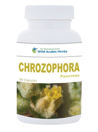 Chrozophora - Pancreas Chrozophora - Pancreas