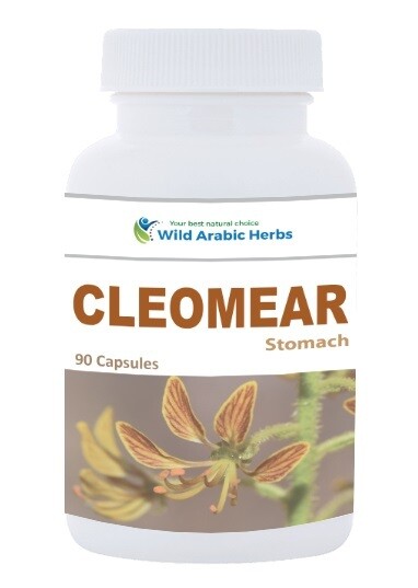 Cleomear – Stomach Cleomear – Stomach