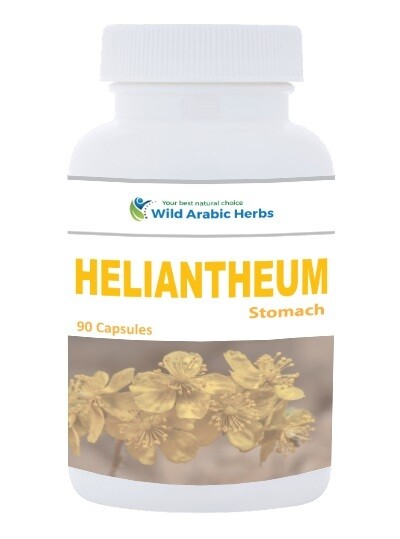 Heliantheum – Stomach Heliantheum – Stomach