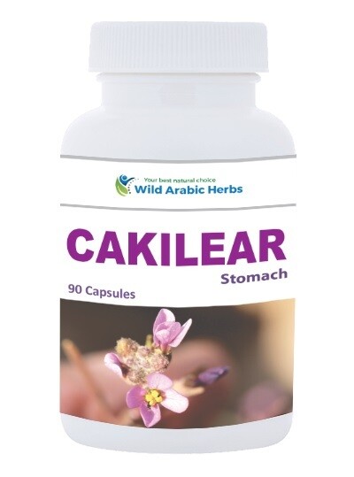 Cakilear – Stomach Cakilear – Stomach
