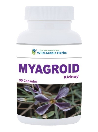Myagroid – Kidney Myagroid – Kidney