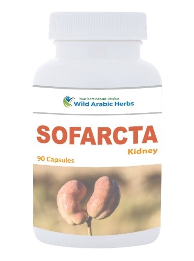 Sofarcta – Kidney Sofarcta – Kidney
