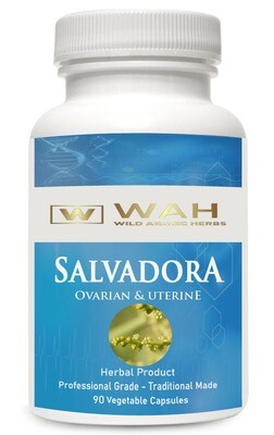 ​Salvadora – Ovarian & Uterine