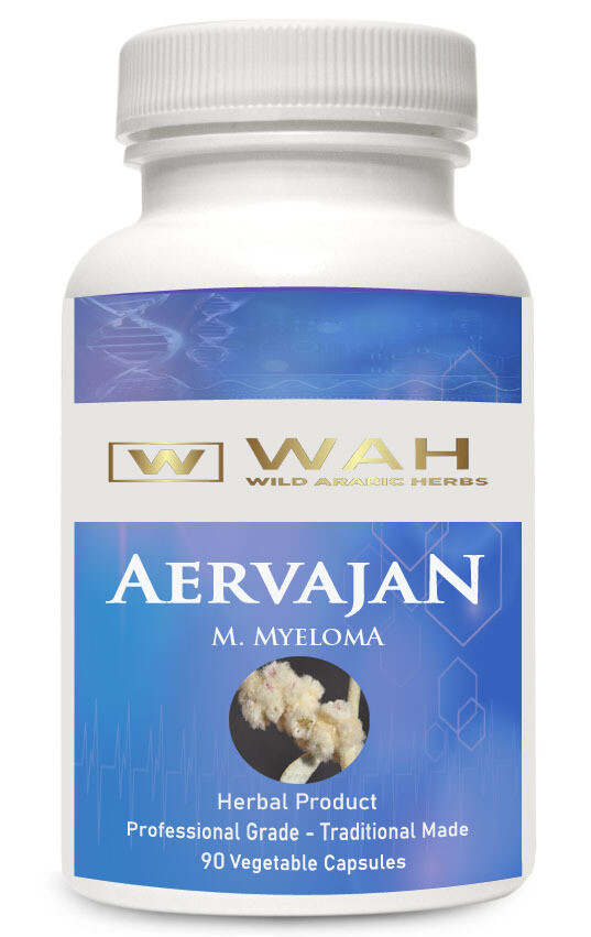 ​Aervajan - Multiple Myeloma
