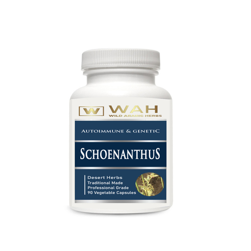 Schoenanthus - Genetic