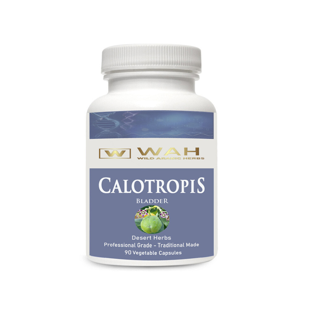 ​Calotropis - Bladder