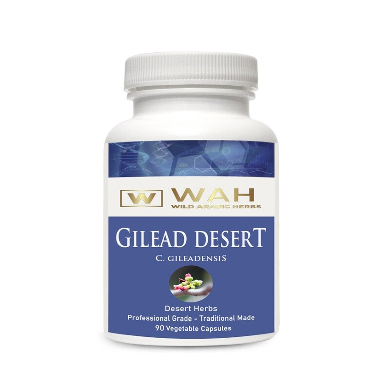 Gilead Desert