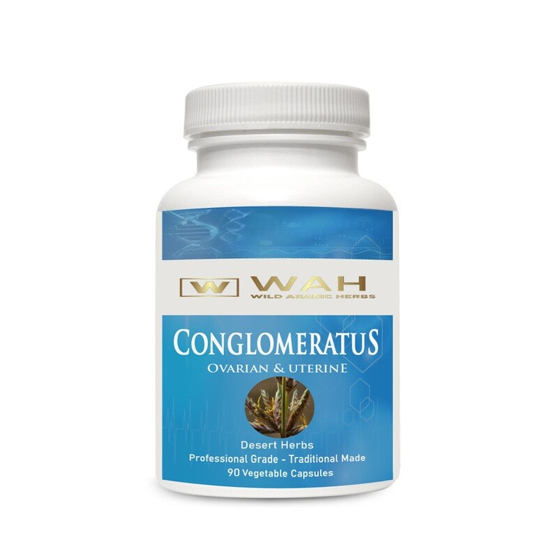 Conglomeratus – Ovarian & Uterine Conglomeratus – Ovarian & Uterine