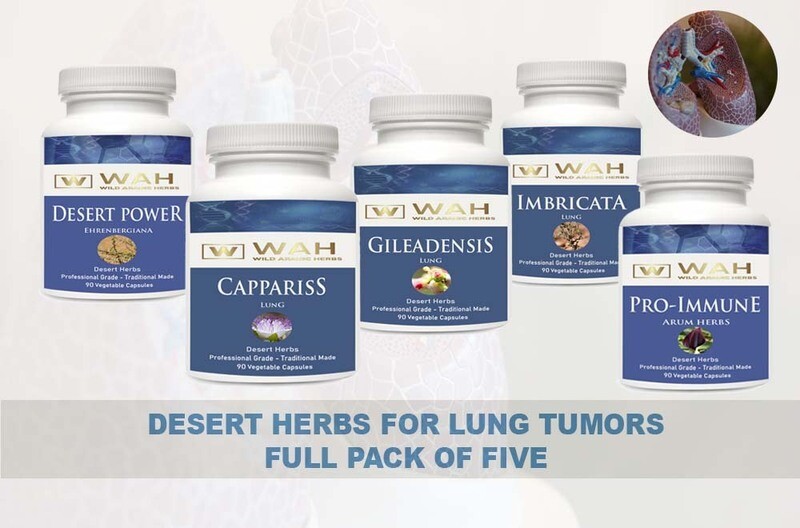 Standard Pack for Lung Tumors