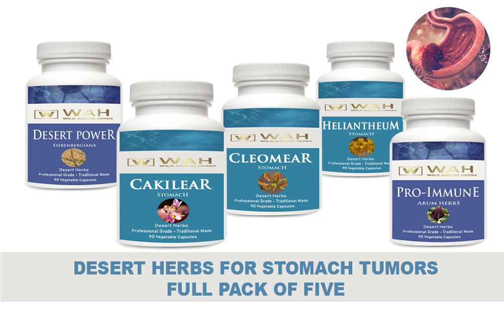 Standard Pack for Stomach Tumors