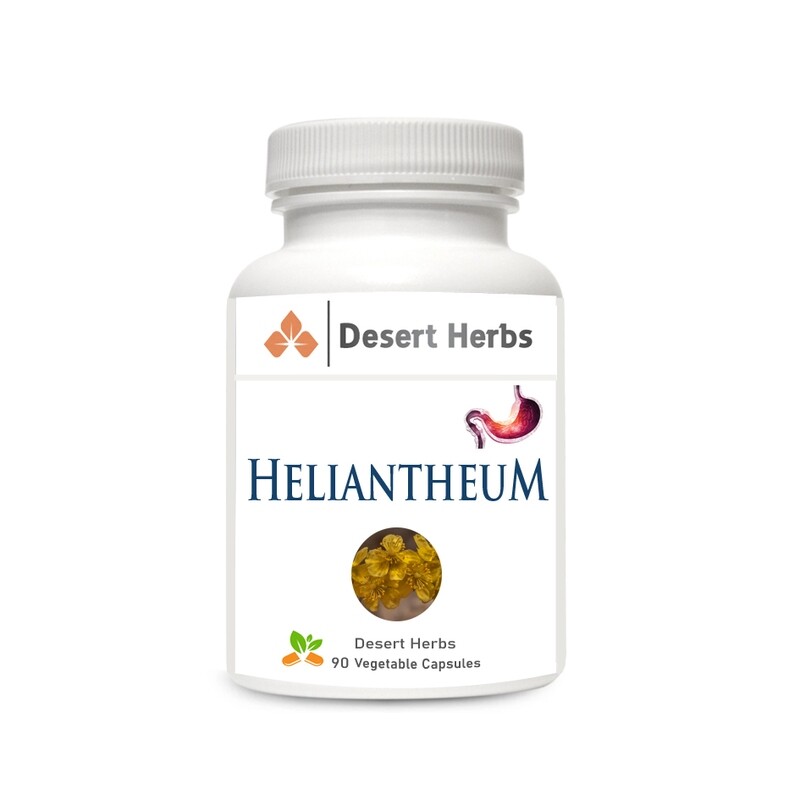 ​Heliantheum – Stomach