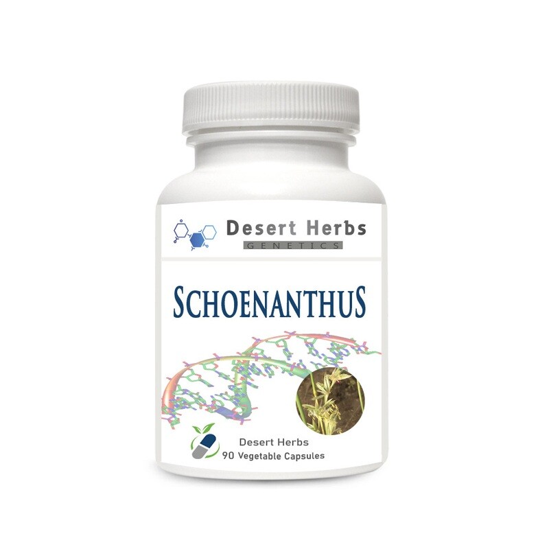 Schoenanthus - Genetic