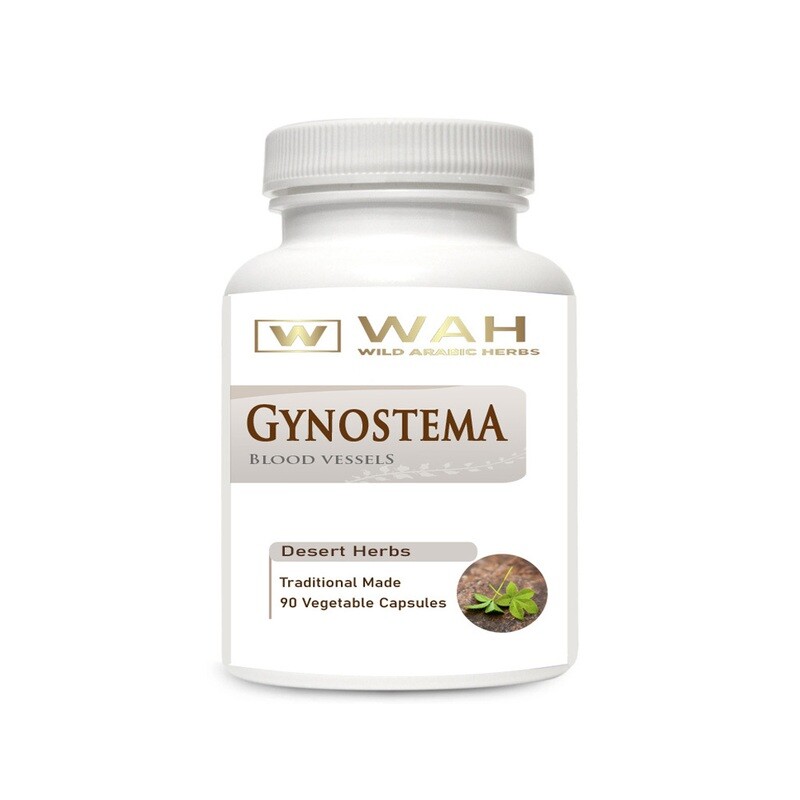 Gynostema – Blood Vessels & Diabet