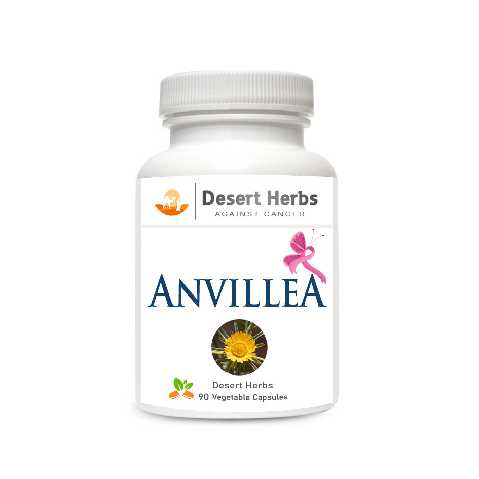 Anvillea - Breast