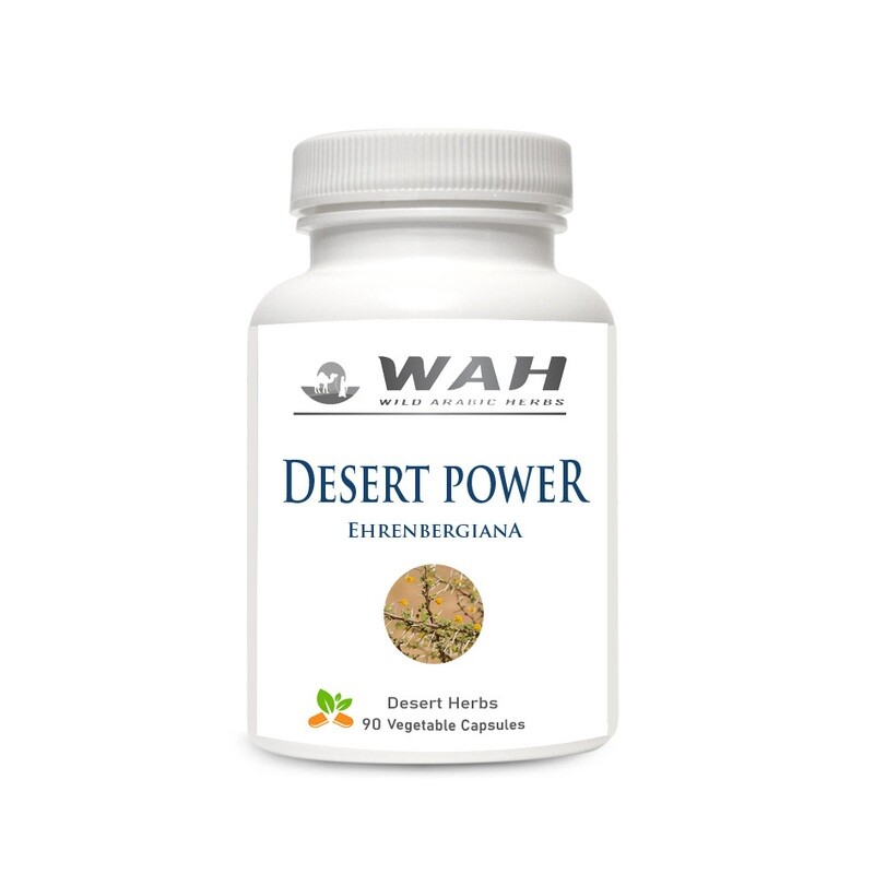Desert Power