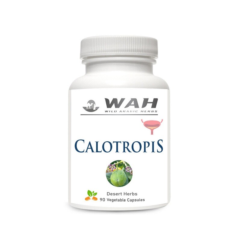 ​Calotropis - Bladder